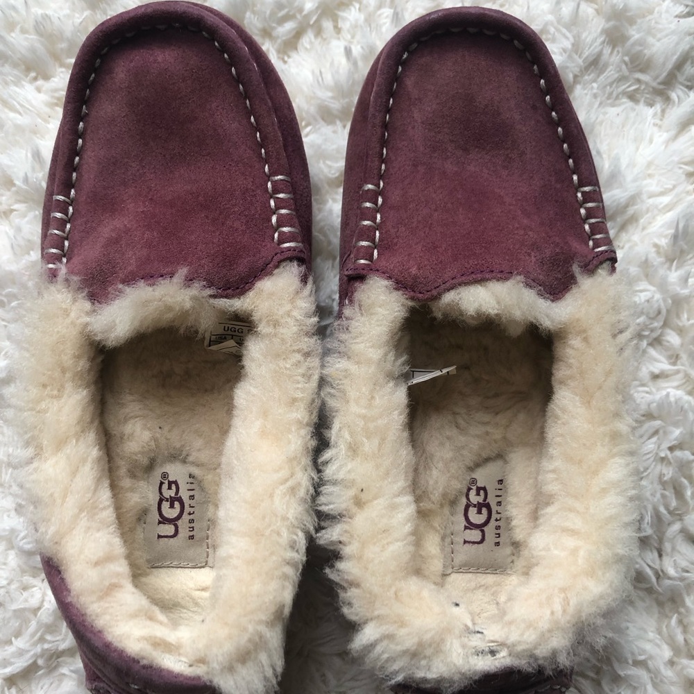 Ugg Slipper